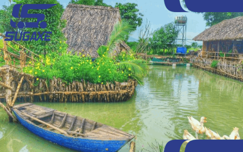 DKL sinh thai bung bac