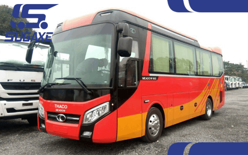 xe 29 cho